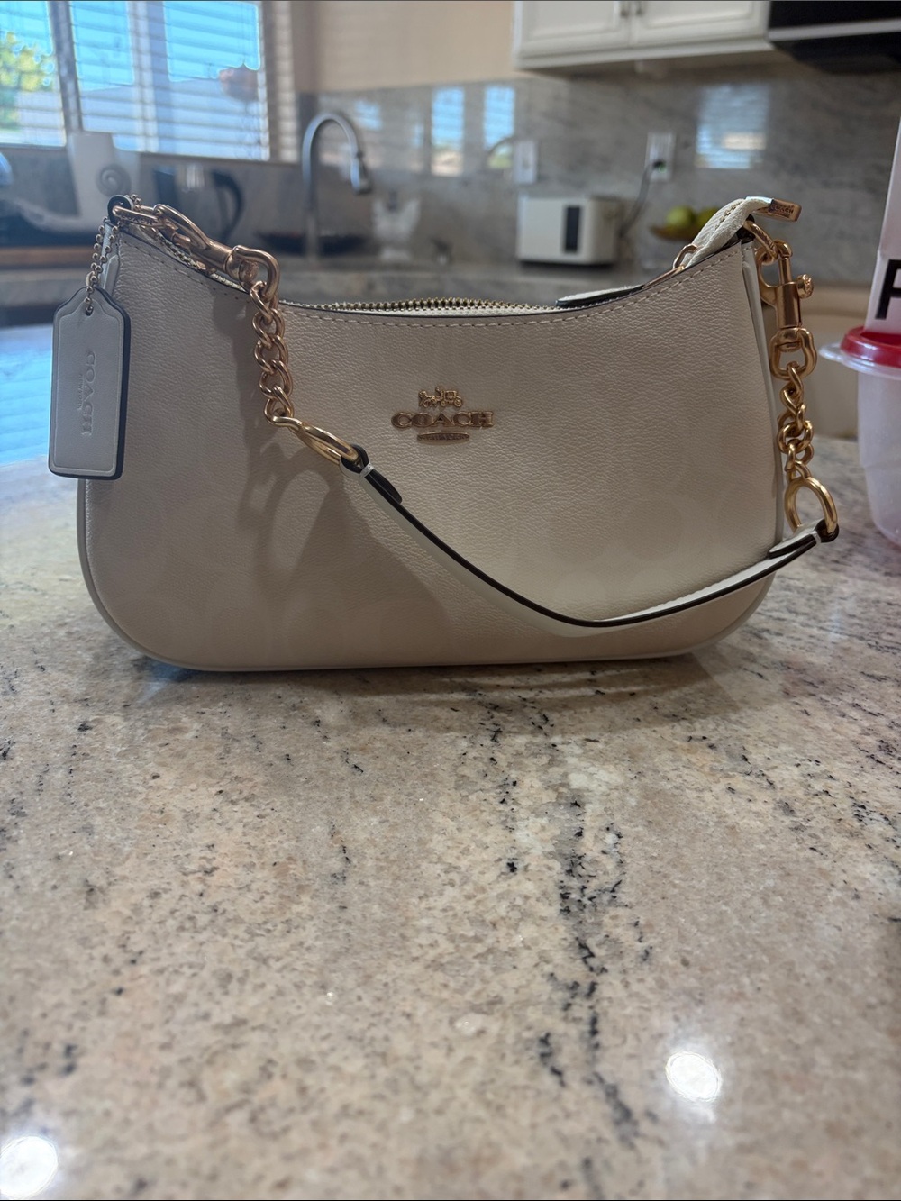 Coach Mini Shoulder Bag in Light Beige with Gold Hardware